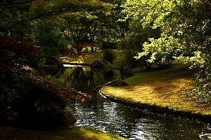 Japanse Tuin Hasselt