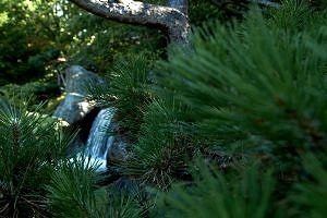 Waterval in de Japanse tuin in Hasselt